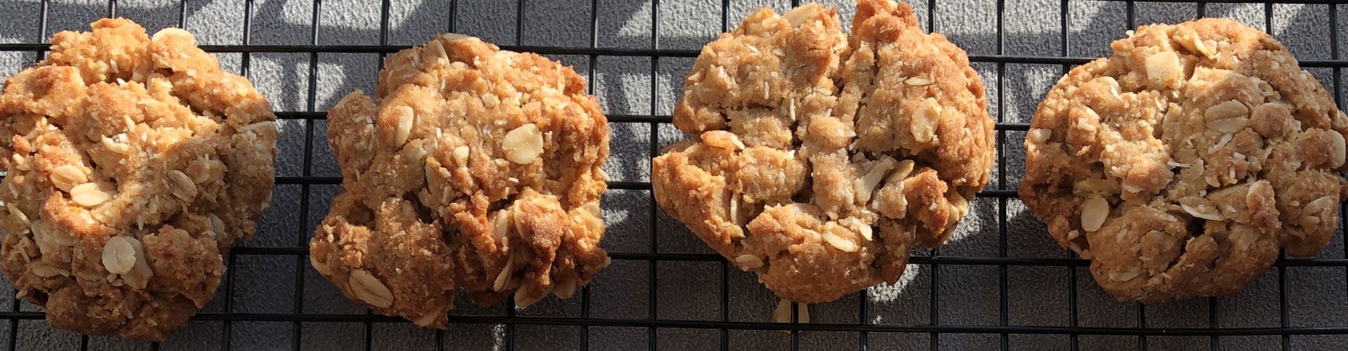 Boy Bakes Treats - Anzac Biscuits